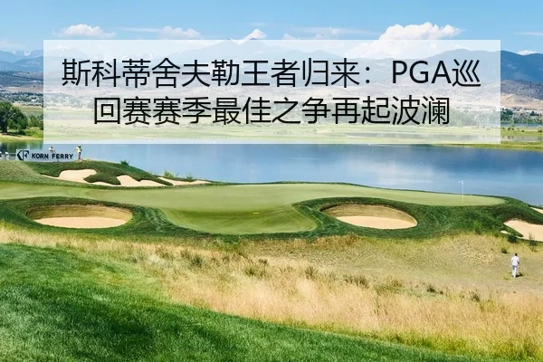 斯科蒂舍夫勒王者归来：PGA巡回赛赛季最佳之争再起波澜